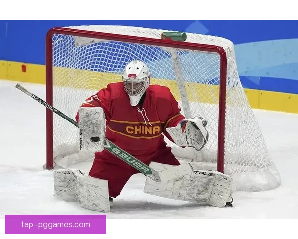 冰球对决，焦点对战，胜者雄心，惜败归途