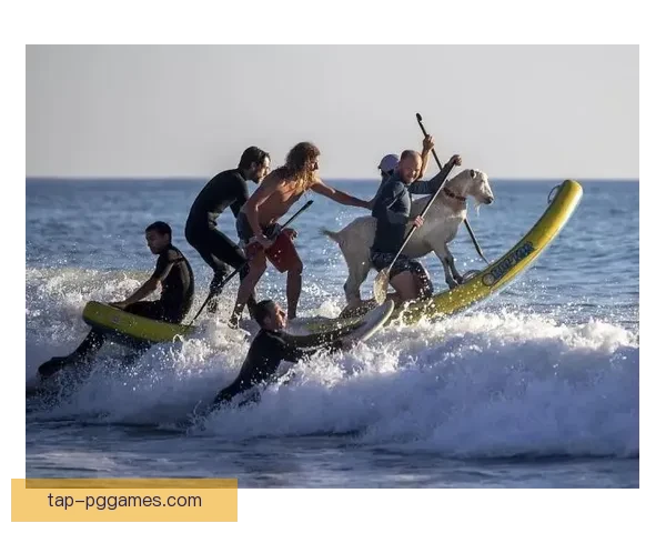 冲浪运动：激情澎湃的浪漫历程