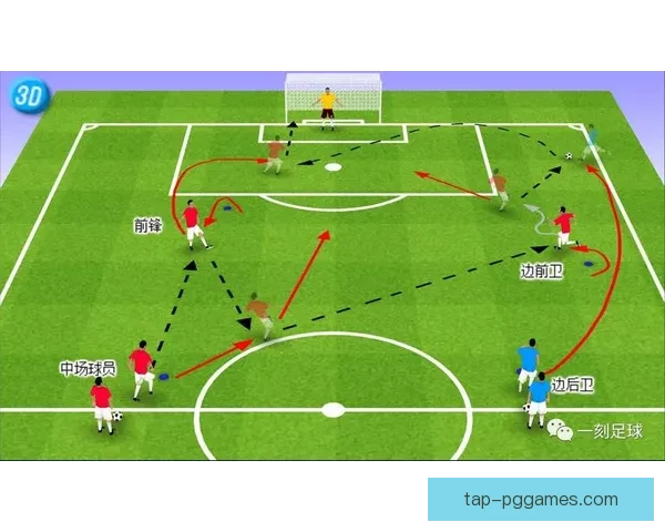 柔道数据分析：技术与战术解读，提升实战能力