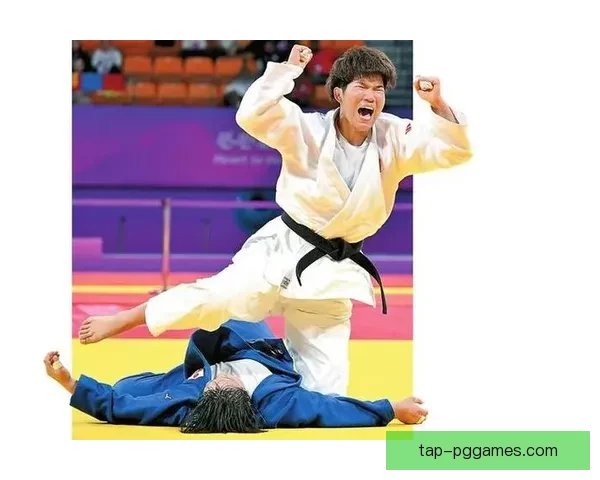 柔道世界纪录大揭秘：超越极限的高手之路