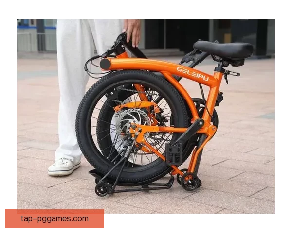 深度解读自行车盘口技术分析和实战策略 深度解读自行车盘口技术分析和实战策略