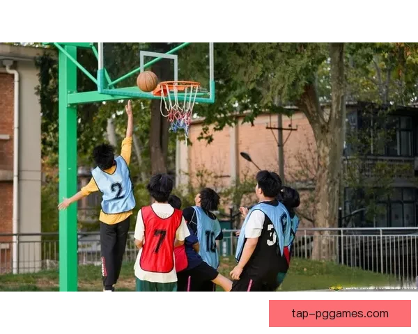 燃情角逐！全球篮球巅峰挑战