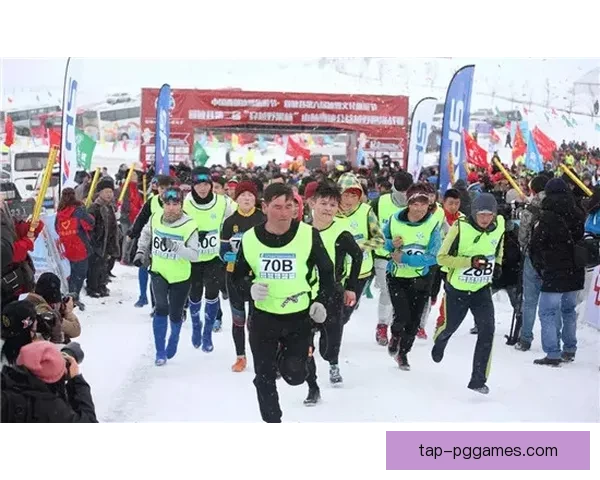 穿越山林，挑战自我：越野跑赛事精彩回放