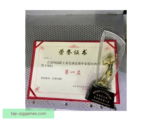 羽毛球积分榜：挑战排名，争夺荣誉