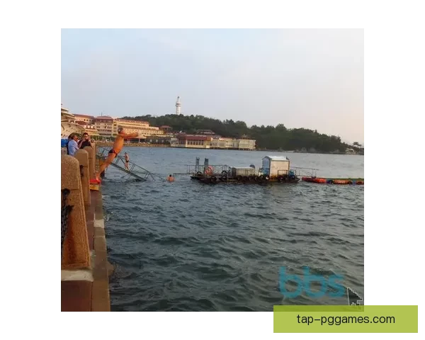 跳水投注技巧大揭秘，让你成为专业跳水投注达人