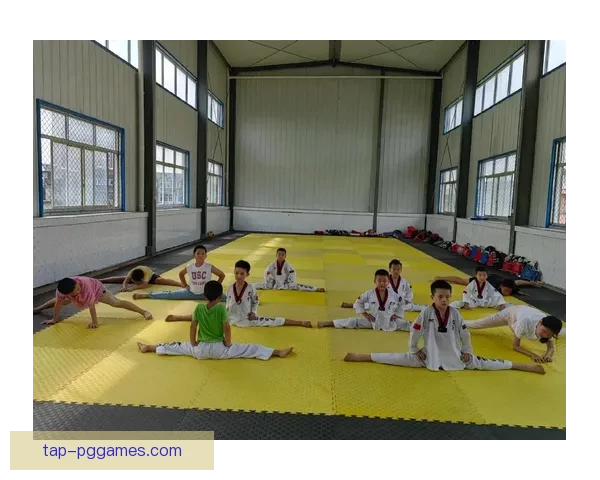 跆拳道训练方法全面解析及实战应用技巧