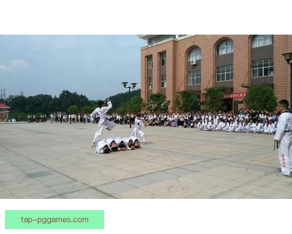 跆拳道公开赛：强者争霸，勇者智慧，精彩纷呈