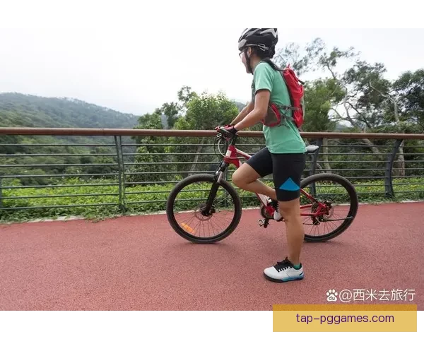 高效自行车训练法：挑战极限，全面提升体能